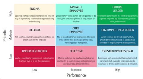 What Is 9 Box Grid Talent Management Framework Indzara Support