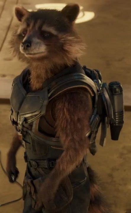 Rocket Raccoon Disney Wiki Fandom