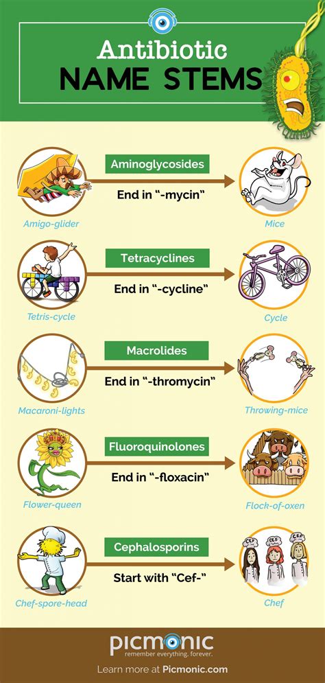 Infographic How To Study Antibiotic Stem Names Picmonic