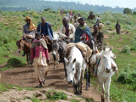 Many Of The Highland Ethiopian People Are Horse People Using Them