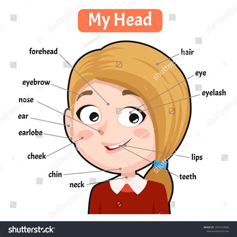 My Head Parts Girl Cartoon Book 스톡 벡터로열티 프리 1097210096 Shutterstock