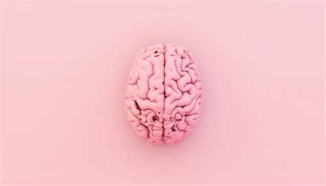 Premium Photo Minimal Pink Brain