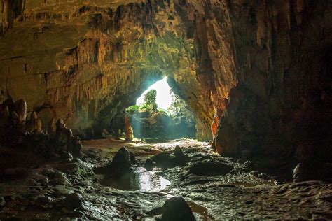 A Complete Guide To Phong Nha Vietnam Tourism