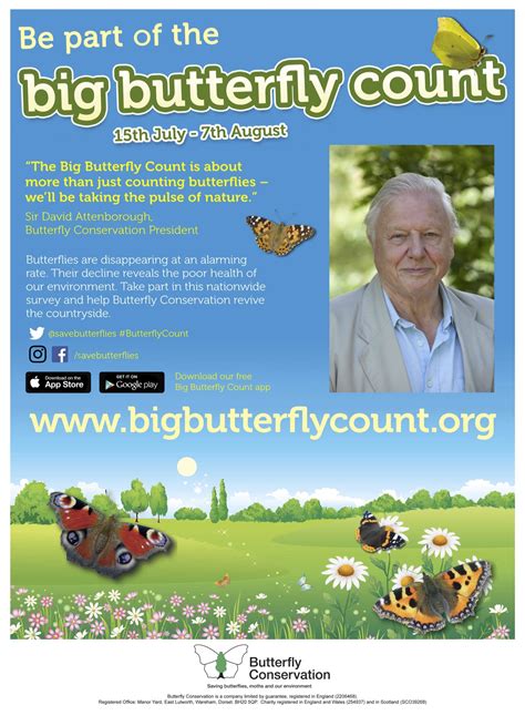 The Big Butterfly Count 2016 Fleet Pond Society