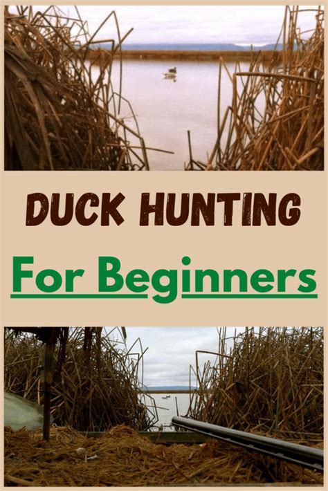 Duck Hunting For Beginners