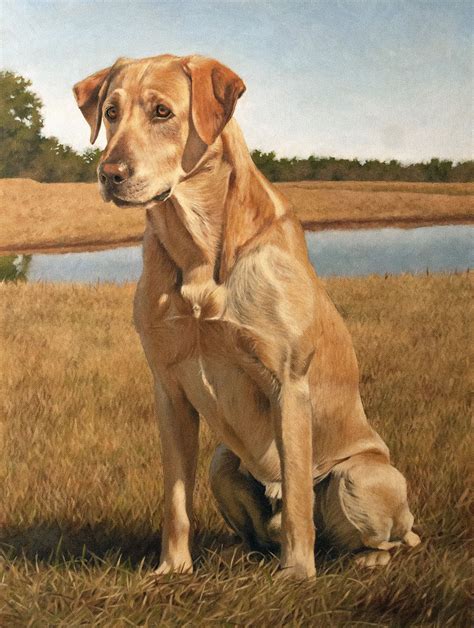 Another Oil Painting Of A National Champion Labrador Retriever Oil