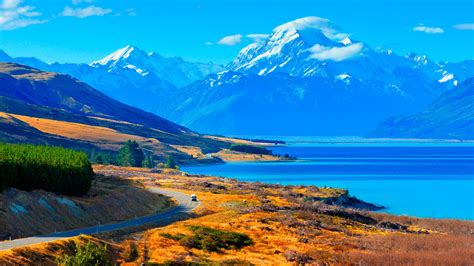 New Zealand Forest Wallpaper Mount Cook And Pukaki Lake New Zealand