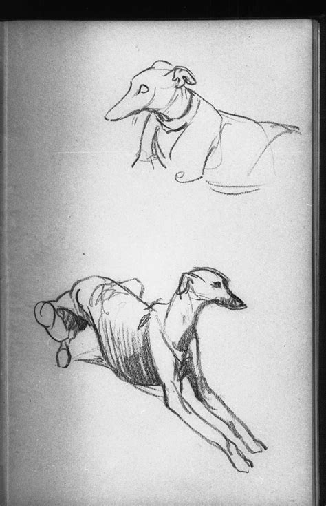 Gurney Journey Bernard Garbutts Animal Sketches