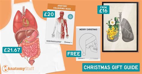 Anatomystuff Health Books Uk Ltd On Linkedin Christmas Tideas