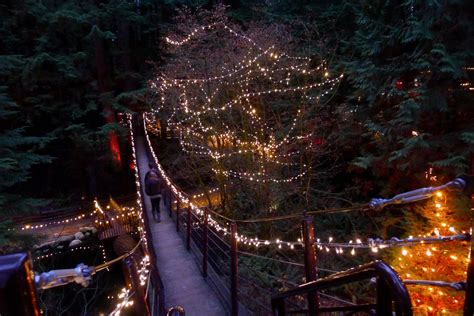 Christmas In A Cup Canyon Lights Capilano Suspension Bridge