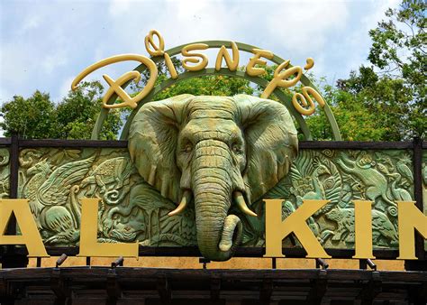 Disneys Animal Kingdom Entrance Elephant Photograph By David Lee