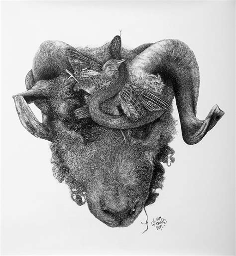 Look at links below to get more options for getting and using clip art. Animal Hybrids Drawn With Charcoal | Bored Panda