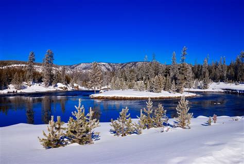 Free Yellowstone National Park Snow Forest Mountains River Image