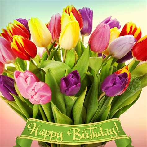 Happy Birthday Beautiful Tulips These Soft And Fuzzy Messages Can Be