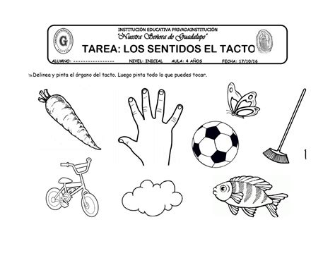 13 Tarea El Tacto By Katy Hormiguita Issuu