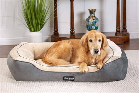The 7 Best Dog Beds For Winter Barkforce