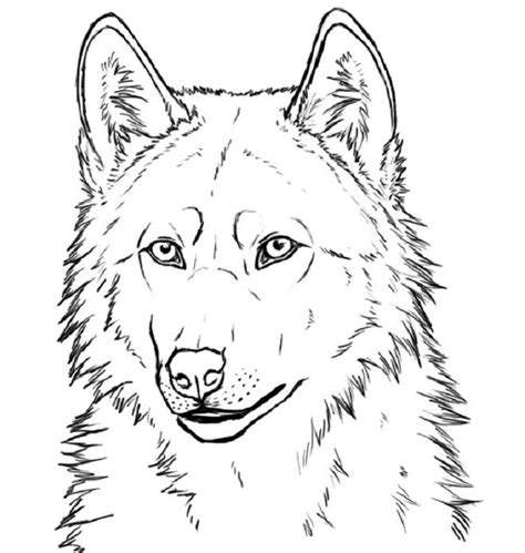 Realistic Wolf Coloring Pages Love Coloring