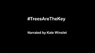 Trailer for #TreesAreTheKey: narrated by Kate Winslet, a film by Tim ...