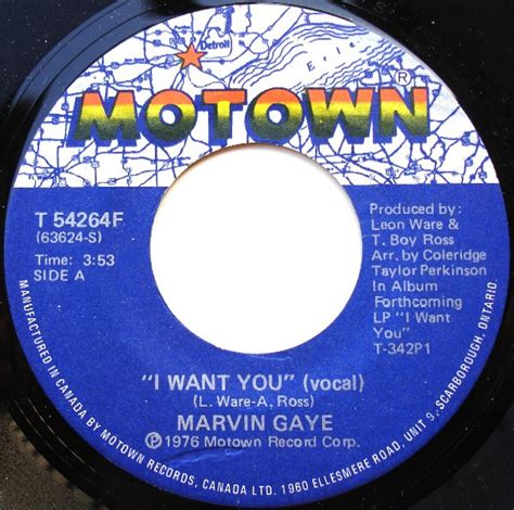 Marvin Gaye I Want You Vinyl Records Lp Cd On Cdandlp