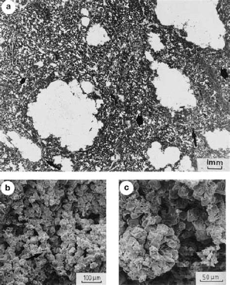 A±c Arrangement Of Dolomite Crystal Aggregates In The Platy Dolomite A