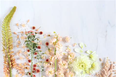 Flower Aesthetic Computer Wallpapers Top Free Flower Aesthetic