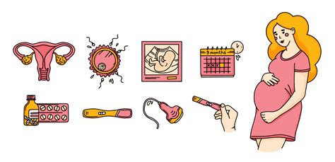 Embarazo Establece Iconos En Estilo Doodle Cuidado Prenatal 3145622