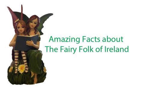 Amazing Facts About The Fairy Folk Of Ireland My Real Ireland