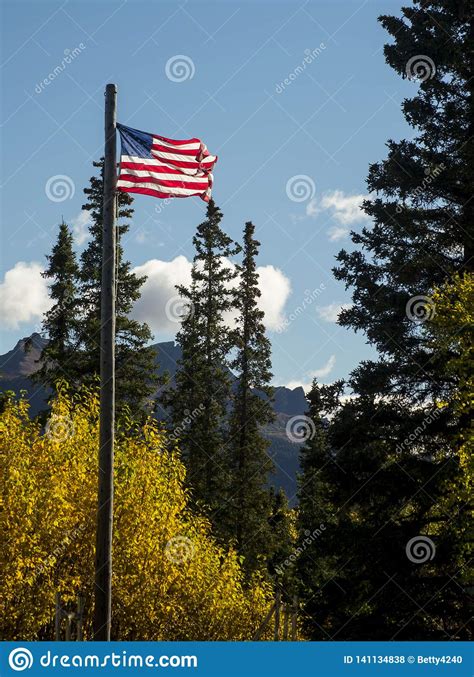 Vertical American Flag Flies Over The Land In Denali National Park