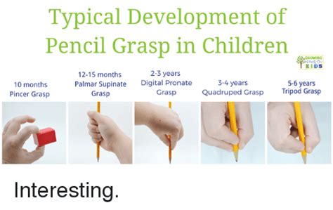 Pin By Kristen Hinson On Ot Knowledge Pencil Grasp Development Pencil Grasp Development