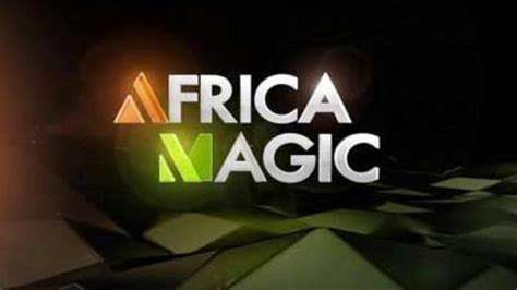 Africa Magic Unveils New Logo To Mark 20th Anniversary Guardian Life