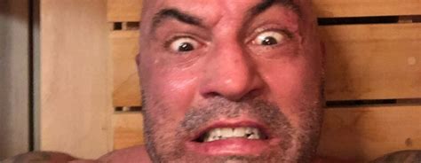 Why Joe Rogan Is Crazy About Saunas Best Sauna Heater