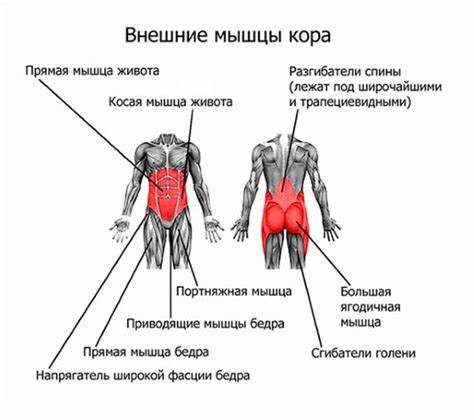С помощью пресса можно убрать живот