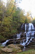 Pearsons Falls (near Saluda, North Carolina, USA)