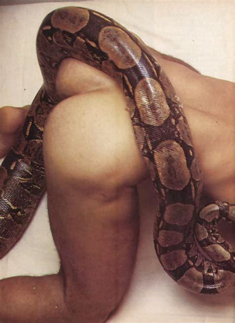 Snake Bite Man Gifs My XXX Hot Girl