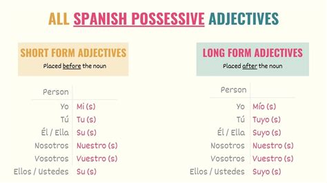 Spanish Possessive Adjectives A Simple Definitive Guide