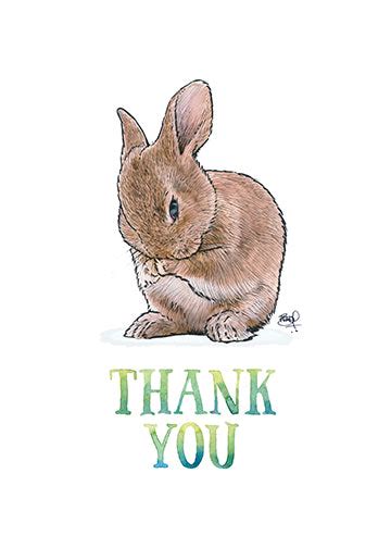Thank You Bunny Shawn Braley Illustration