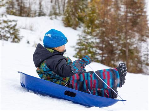 The Best Sled Options For Snowy Fun In 2020 Bob Vila