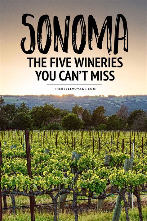 5 Best Sonoma Wine Tasting Experiences You Cant Miss