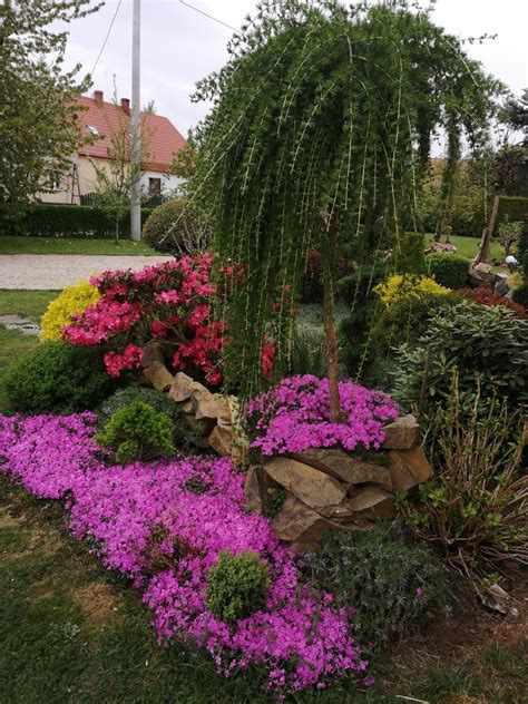 Pin By Katriina Peltomaa On Ogród Partial Shade Plants Plants Shade