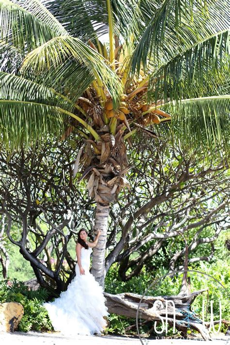 destination beach wedding kona hawaii love the palm tree beach wedding photography beach