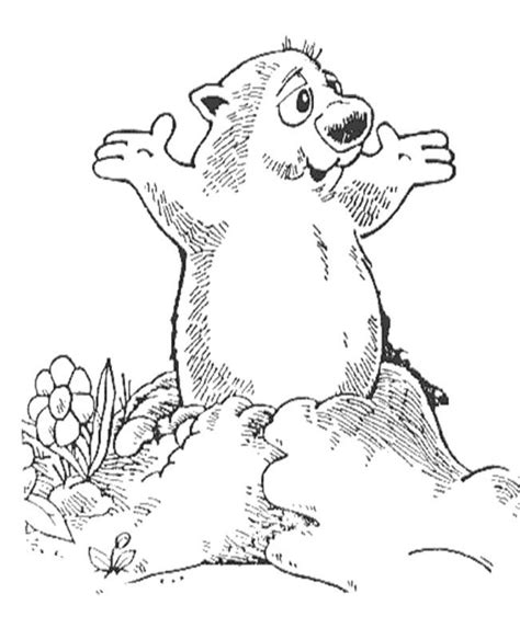 You could decide to do one letter a week focusing on the letter identification (uppercase and lowercase), letter sound and beginning Groundhog Pictures To Print - Coloring Home