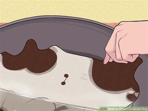 Window cleaner can also be used in place of nail polish remover, as can hair spray and a clean sponge. 3 Ways to Clean a Cowhide Rug - wikiHow