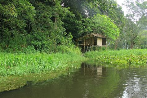 Danau rawa pening rawa pening adalah danau alam di kabupaten semarang, jawa tengah. Melihat Cagar Alam Rawa Danau, Hutan Air Tawar Terbesar di ...