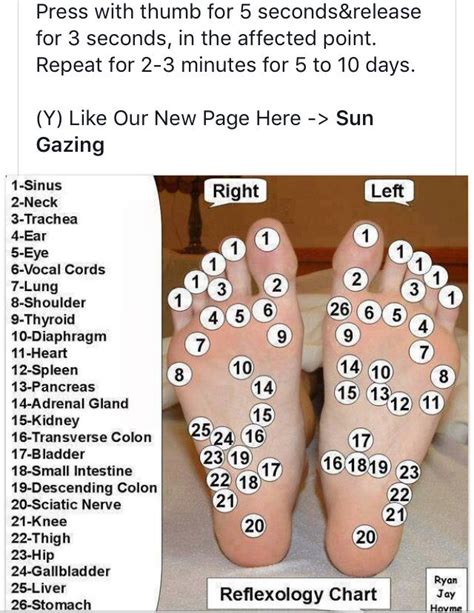 Reflexology Foot Chart Reflexology Reflexology Chart Massage Tips