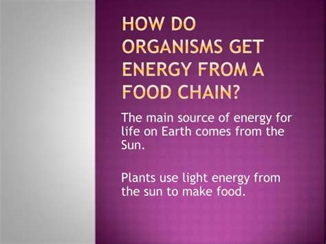 Ppt How Do Organisms Get Energy From A Food Chain Powerpoint