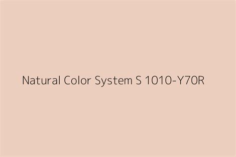 Natural Color System S 1010 Y70r Color Hex Code