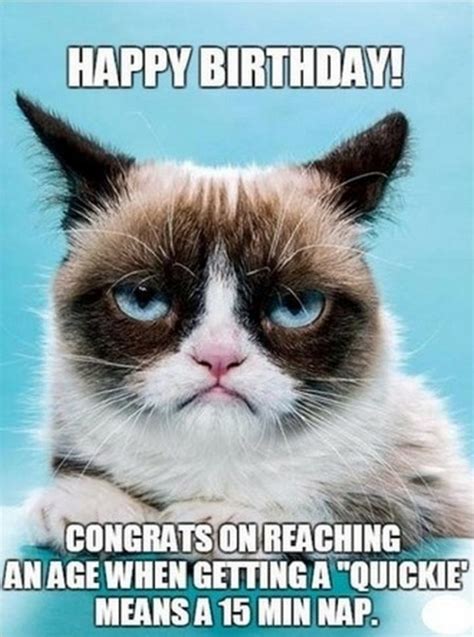 101 Funny Cat Birthday Memes For The Feline Lovers In
