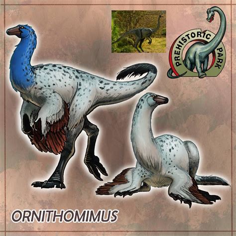 Ornithomimus Prehistoric Park By Allotyrannosaurus On Deviantart