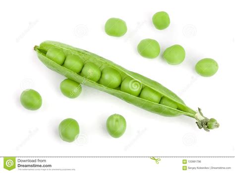 Fresh Green Pea Pod Isolated On White Background Stock Photo Image Of