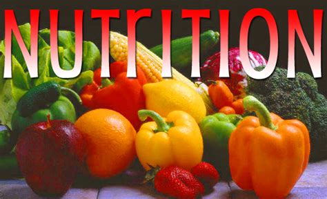 What Is The Definition Of Nutrition Nutrition For Better Life